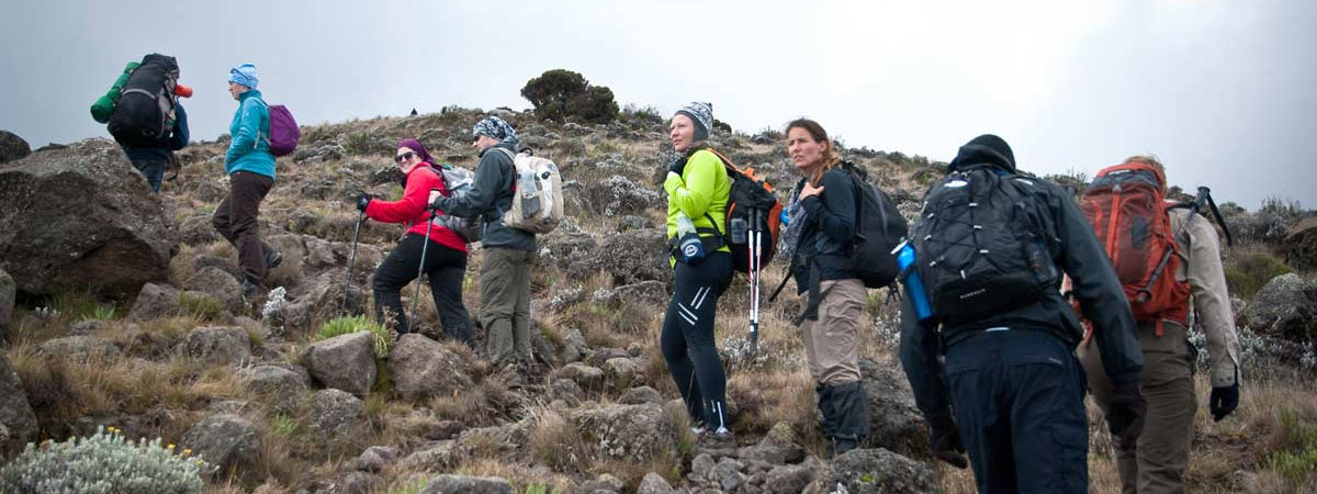 5-Days-Kilimanjaro-climb-marangu-route