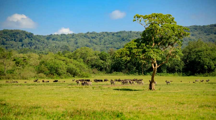 Arusha-National-Park-Day-Tour