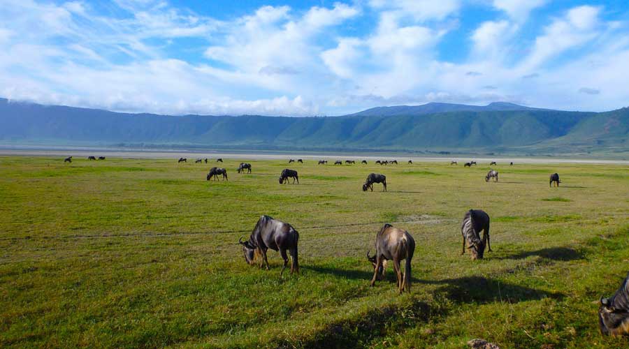 Day-tour-to-Ngorongoro