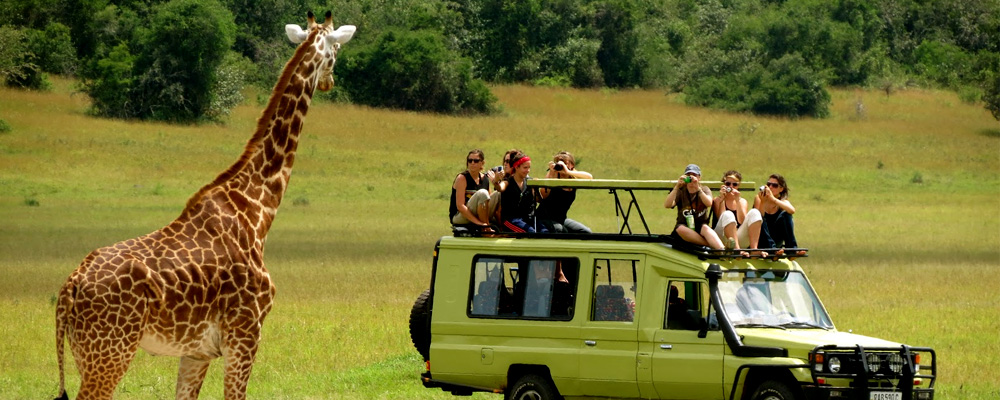 Tanzania-safaris-with-Tiem